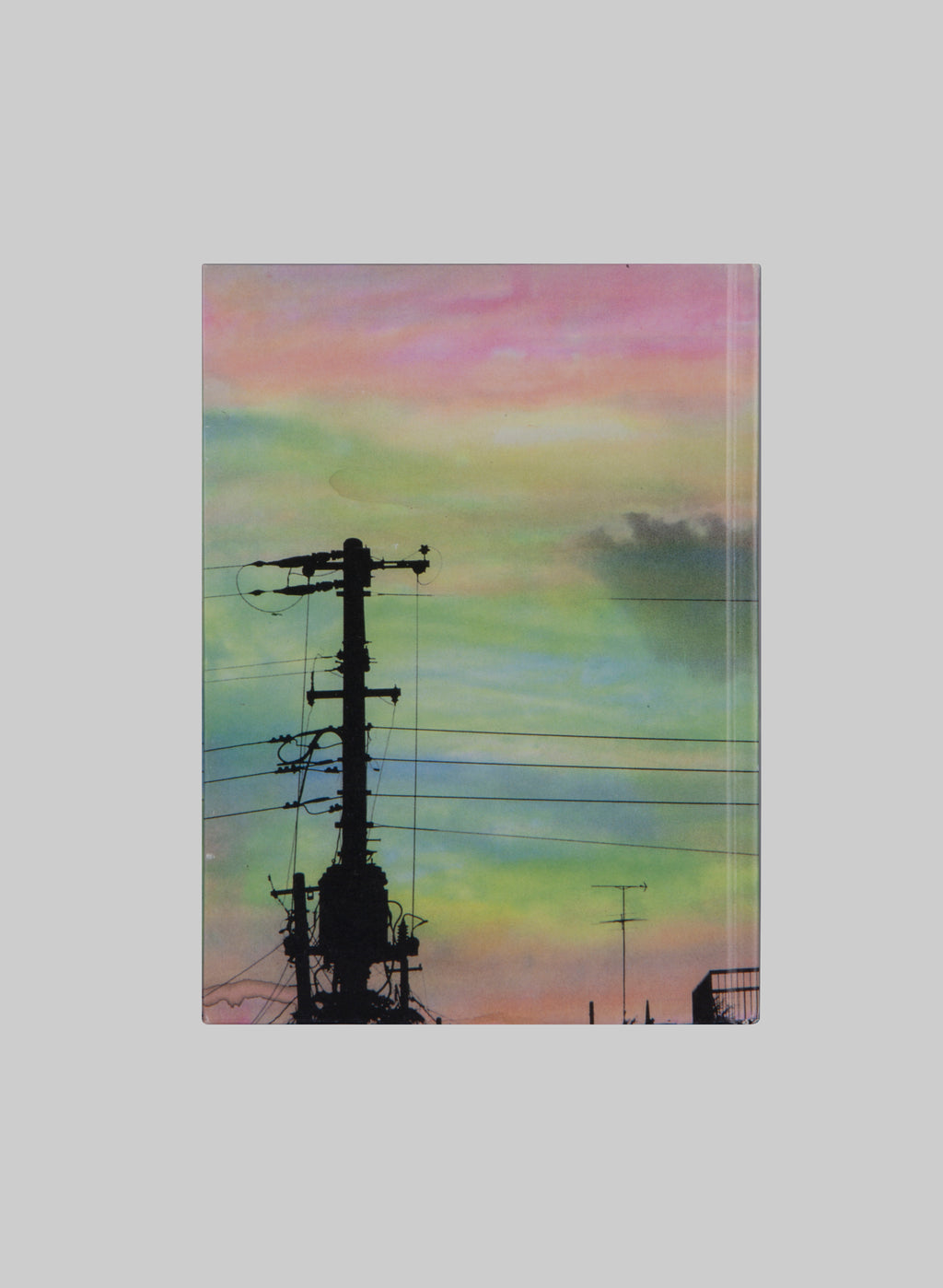 არაკი ნობუიოში Nobuyoshi Araki "Ai Bana" , ხელმოწერილი